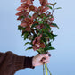 Hey Orchid Lover Floral Bouquet