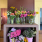 Little Florists Club Workshop